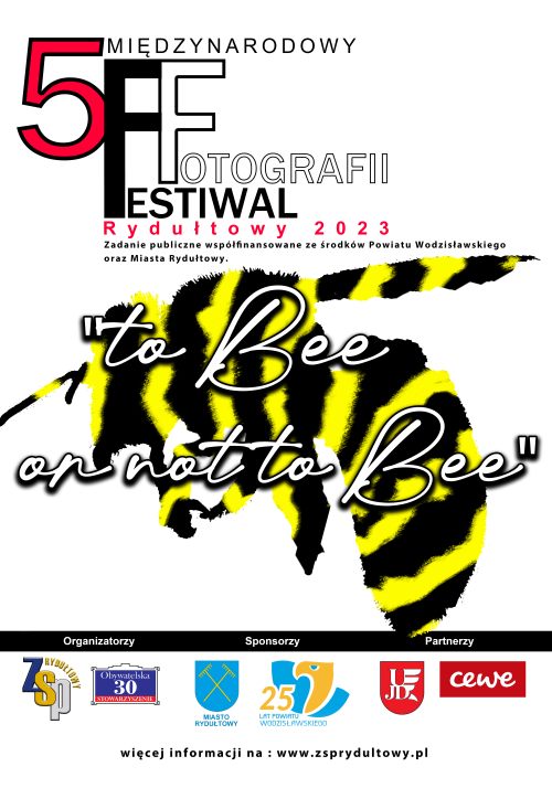 Piąty międzynarodowy festiwal fotografii - plakat